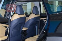 جیلی ستارەی